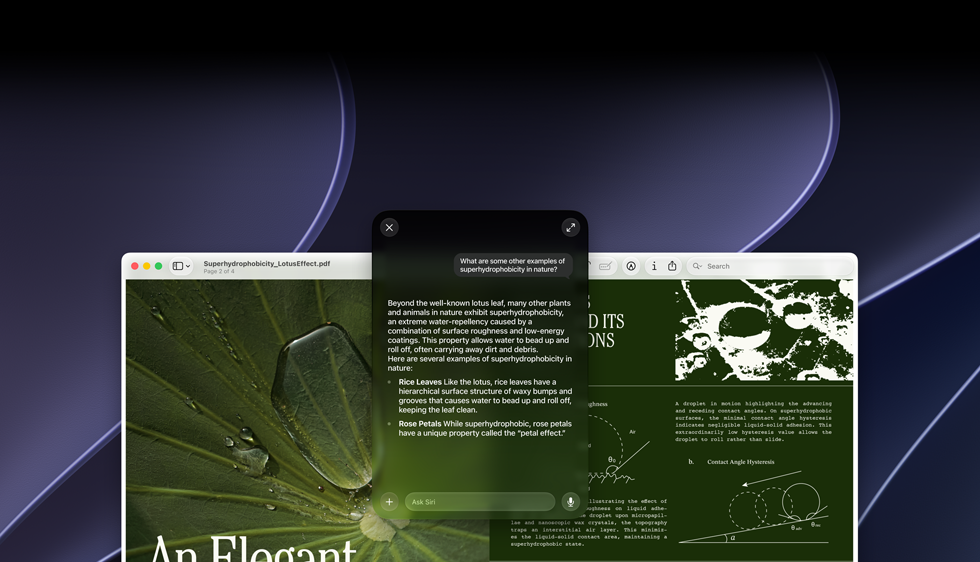 Démonstration de Siri et de l'Intelligence visuelle, requête de la personne sur un sujet figurant dans un PDF affiché sur un Mac, D'autres exemples de superhydrophobie dans la nature ?, réponse de Siri