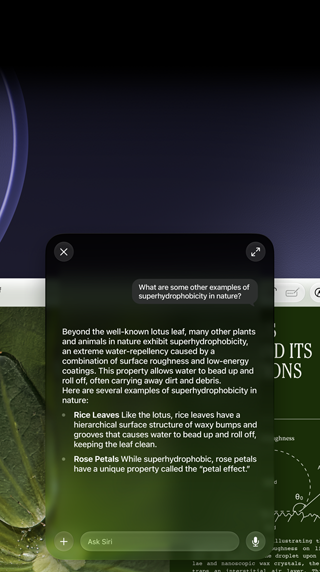 Démonstration de Siri et de l'Intelligence visuelle, requête de la personne sur un sujet figurant dans un PDF affiché sur un Mac, D'autres exemples de superhydrophobie dans la nature ?, réponse de Siri